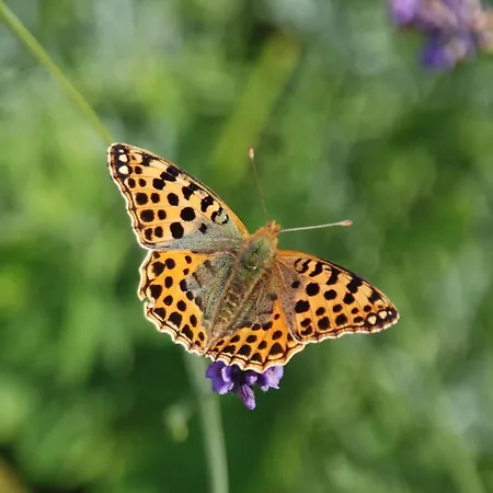 Apartman Mobile Im Mit Seezugang *